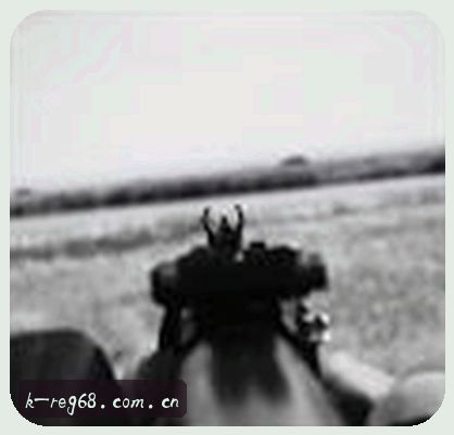 陈伟